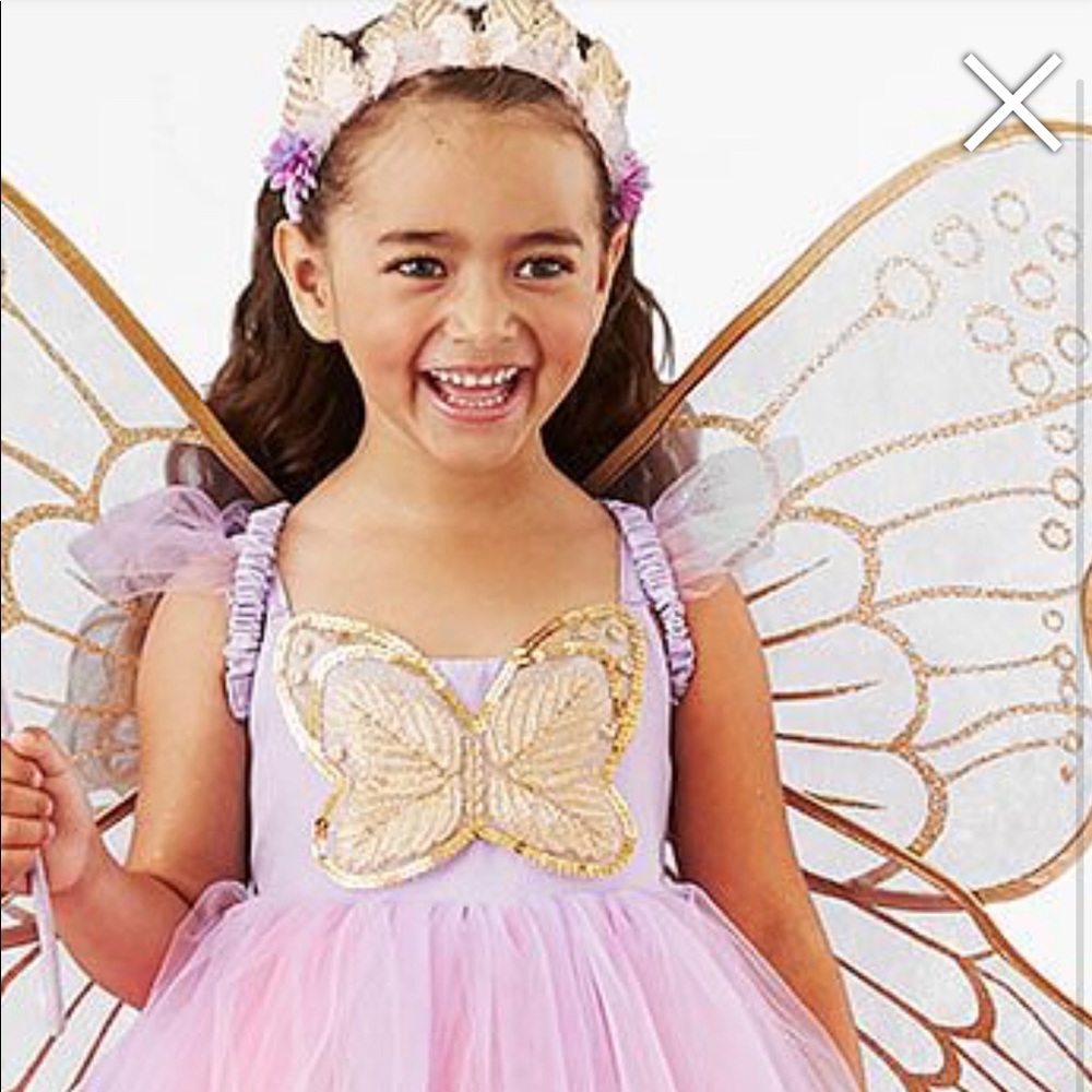 Pottery Barn Kids Lavender Fairy Costume